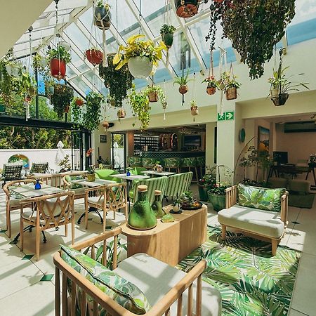 Le Petit Manoir Boutique Hotel Franschhoek Exteriör bild